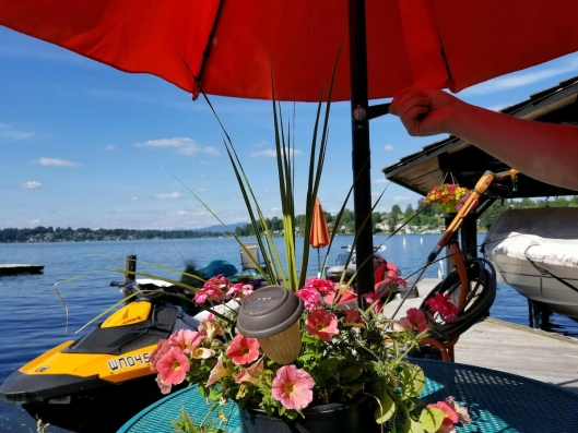 1224d61f-8186-42d4-aa71-e28c67d47984